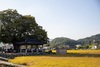 엄길마을 들녘음악회 성황리에 개최