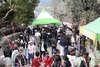광양매화축제, ‘한국 축제 매력도 지수’ 전국 11위