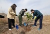 완도군, 14억 투입 ‘탄소중립 실현’ 조림 사업 추진