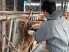신안군, 소 럼피스킨 확산 방지·조기 안정화 ‘총력’