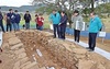 고흥 동호덕고분 발굴, 남해연안 해상세력의 수장묘 확인
