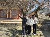 해남군“초의선사 마음 깃든 대흥매 아시나요”