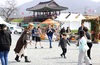 전라병영성·금곡사 벚꽃축제 ‘강진 관광’ 명성 재확인