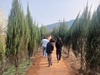 곡성군 옥과면, 황톳길로 면민 건강 지켜요
