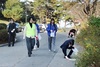 동신대 교직원‧재학생, 플로깅 캠페인 진행