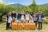 광양경자청, 지역 특색 사회 공헌 눈길…매실 수확 일손 도와