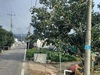 곡성군, 농로의 도로명 부여를 통한 군민 편의 증진