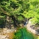 담양군, 추석 당일 죽녹원·소쇄원·메타세쿼이아랜드 무료 개방