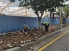 순천시, 가로수 정책 대전환…사람과 나무가 함께 숨쉬는 도시 만든다