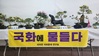 평화의 섬 하의면에서 국화분재 전시회 개최