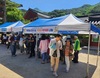 구례군, 부처님 오신 날‘부처꽃·원추리·국화묘’나눔 행사 가져