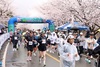 영암 벚꽃마라톤대회 성료... 왕인문화축제‘신호탄’쏘아올려