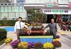 보성군, ‘제3회 대한민국 차나무 분재대전’ ·  ‘2025년 전라남도 우수분재 대전’ 개최