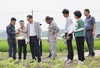 함평군, 논콩 재배지 침수 피해 현장 점검